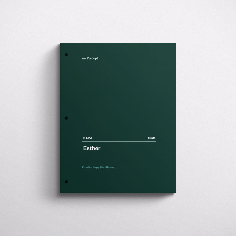 IO_Esther_NASB_Mockup_71806