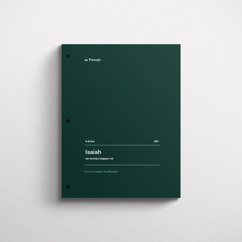 IO_IsPt1_ESV_Mockup