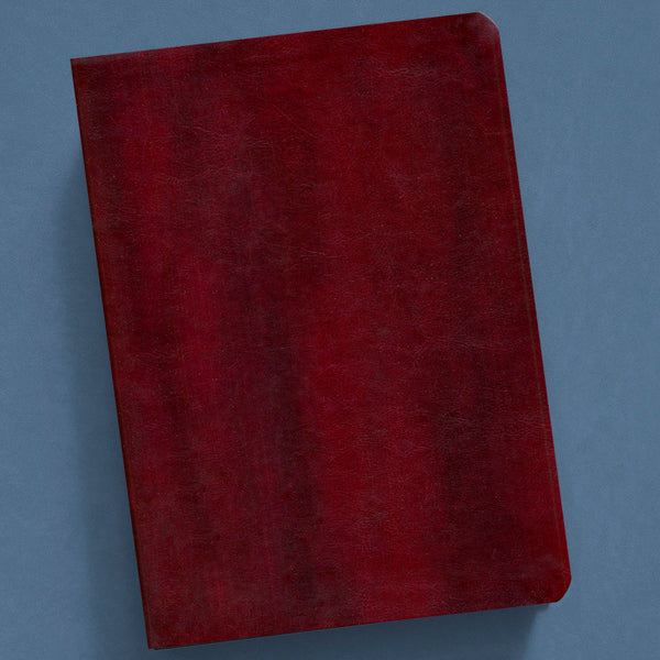 THE NEW INDUCTIVE STUDY BIBLE-ESV (MILANO SOFTONE) BURGUNDY