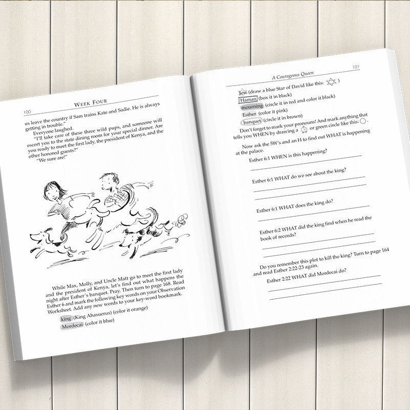 HOW TO STUDY YOUR BIBLE FOR KIDS-D4Y