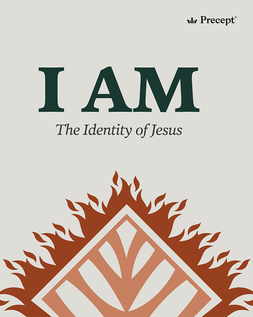 I AM: The Identity of Jesus