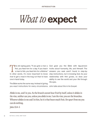 Anchored: Finding Peace in an Anxious World