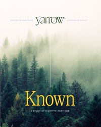 Known: A Study of Identity, Part One