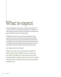 Rooted: A Study of Identity, Part Three
