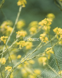 Unshakable: A Study of Identity, Part Four