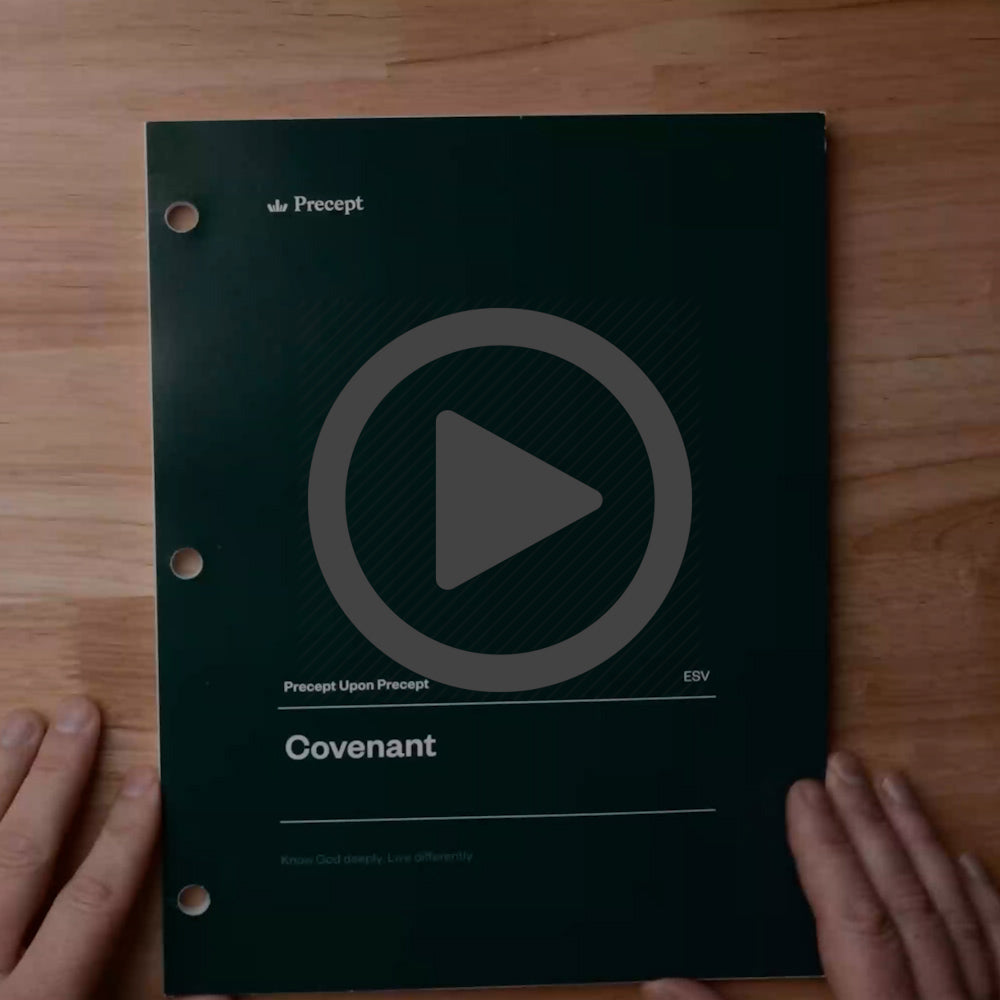 PUP - Covenant Lookthrough Video
