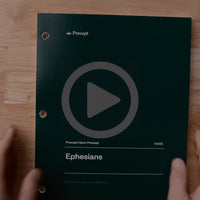 PUP - Ephesians Lookthrough Video