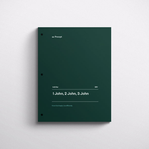 1 JOHN AND 2 & 3 JOHN-IN & OUT WORKBOOK (ESV)