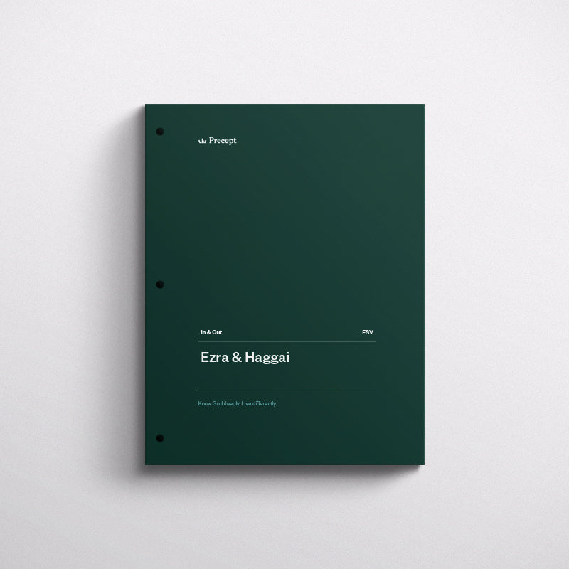 EZRA/HAGGAI-IN & OUT WORKBOOK (ESV)