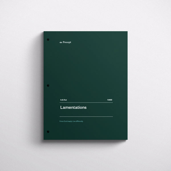 LAMENTATIONS-IN & OUT WORKBOOK (NASB)