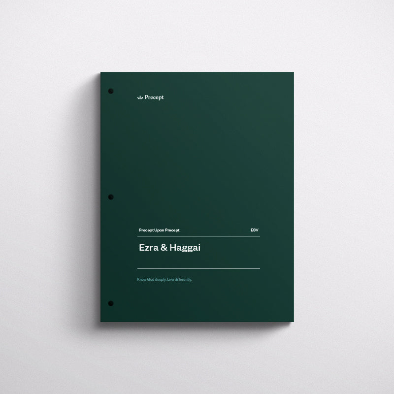 EZRA/HAGGAI-PRECEPT WORKBOOK (ESV)