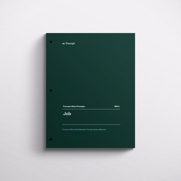 SPANISH-JOB-PRECEPT WORKBOOK