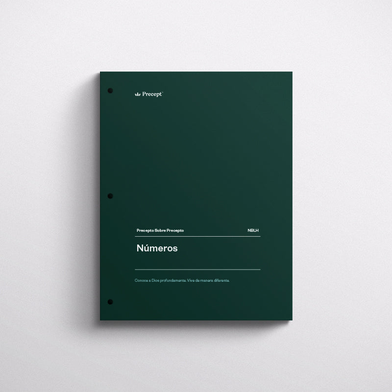 SPANISH-NUMBERS-PRECEPT WORKBOOK